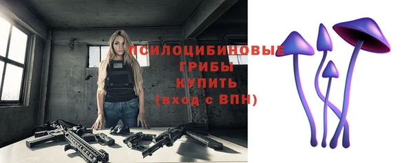 стафф Вяземский