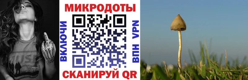 Галлюциногенные грибы мухоморы  закладки  Новошахтинск 